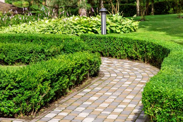 Cost of Paved Landscaping in Mission Viejo